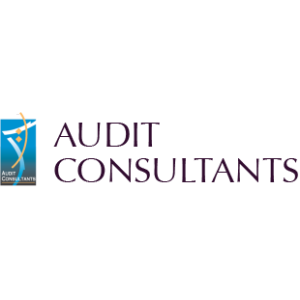 AUDIT CONSULTANTS